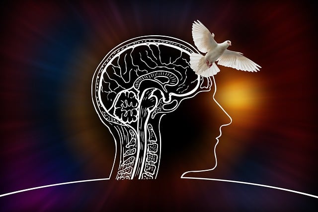 Geralt Head 5037005 640